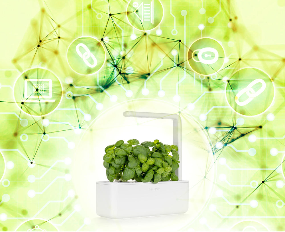Announcing The Release Of GardenCoin, Make Money While You Grow.