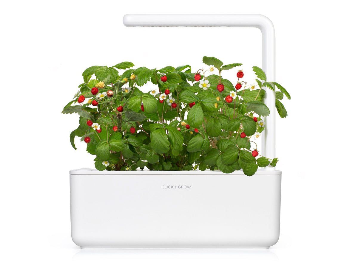 The Smart Garden 3 / Grow herbs all year round with a smart indoor garden. Grow fresh basil, fresh cilantro and many more with the Click & Grow plant growing kit called the smart indoor garden. The best gift for plant lover!