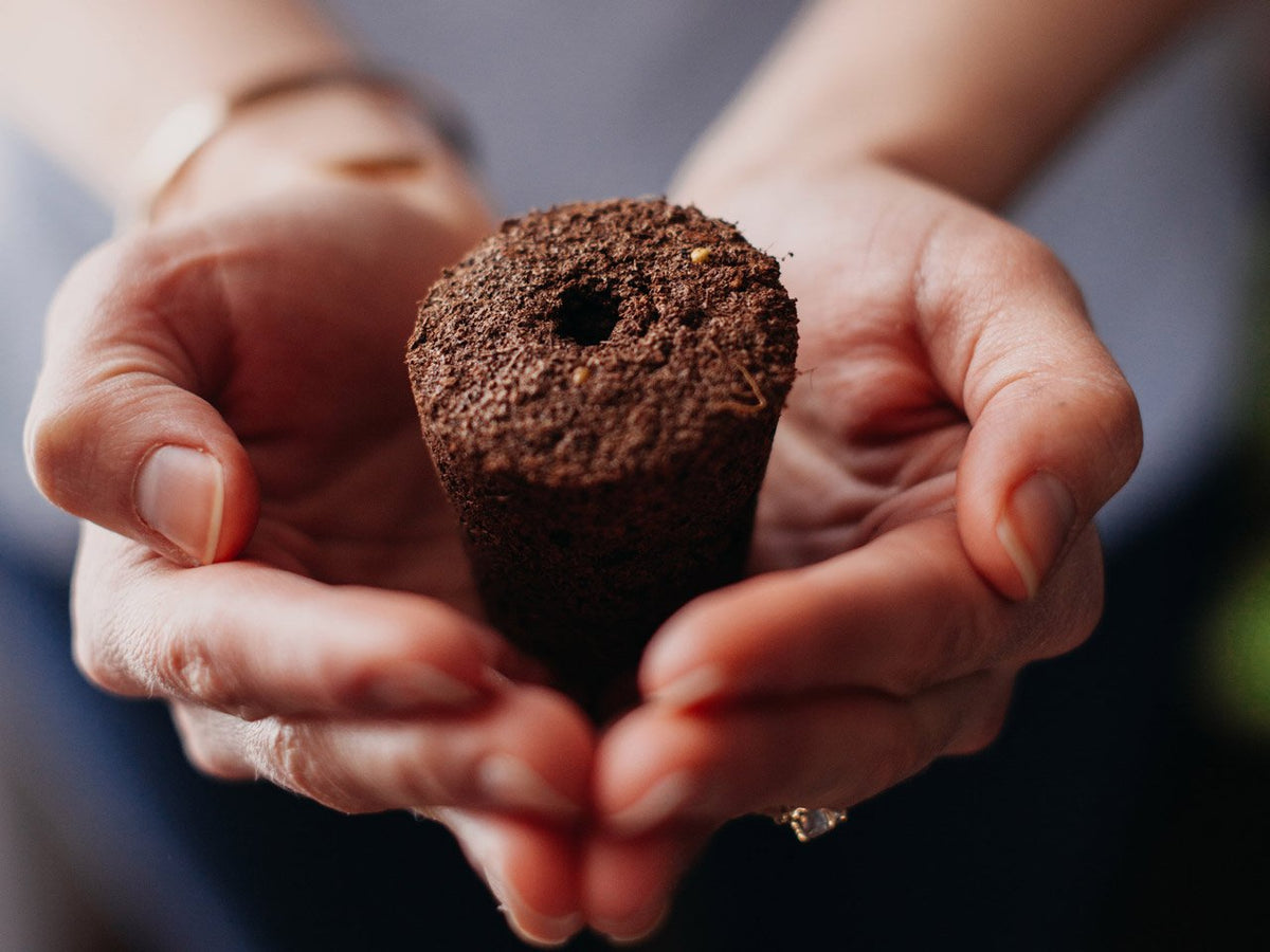 The Smart Garden 3 / Grow herbs all year round with a smart indoor garden. Grow fresh basil, fresh cilantro and many more with the Click & Grow plant growing kit called the smart indoor garden. The best gift for plant lover!