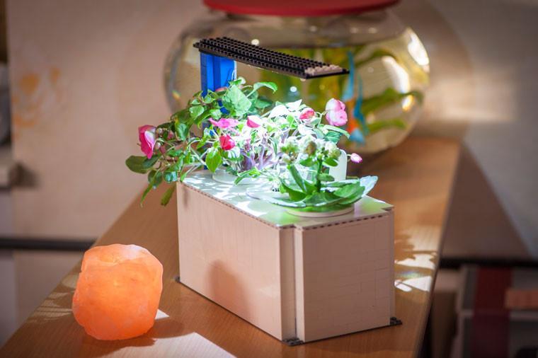 10 Coolest DIY Indoor Garden Concepts With Smart Soil