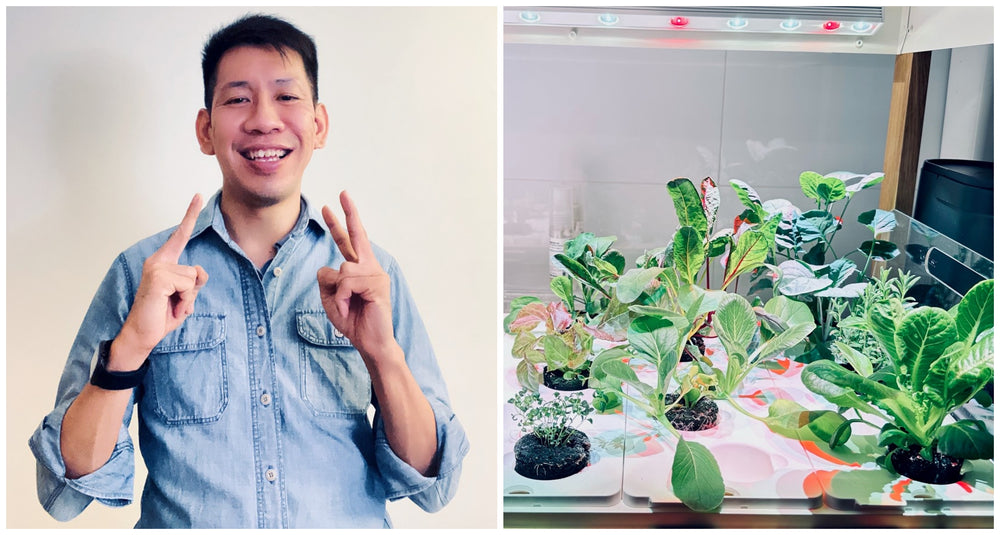 Gardener of the Month - Featuring Darrin from Singapore