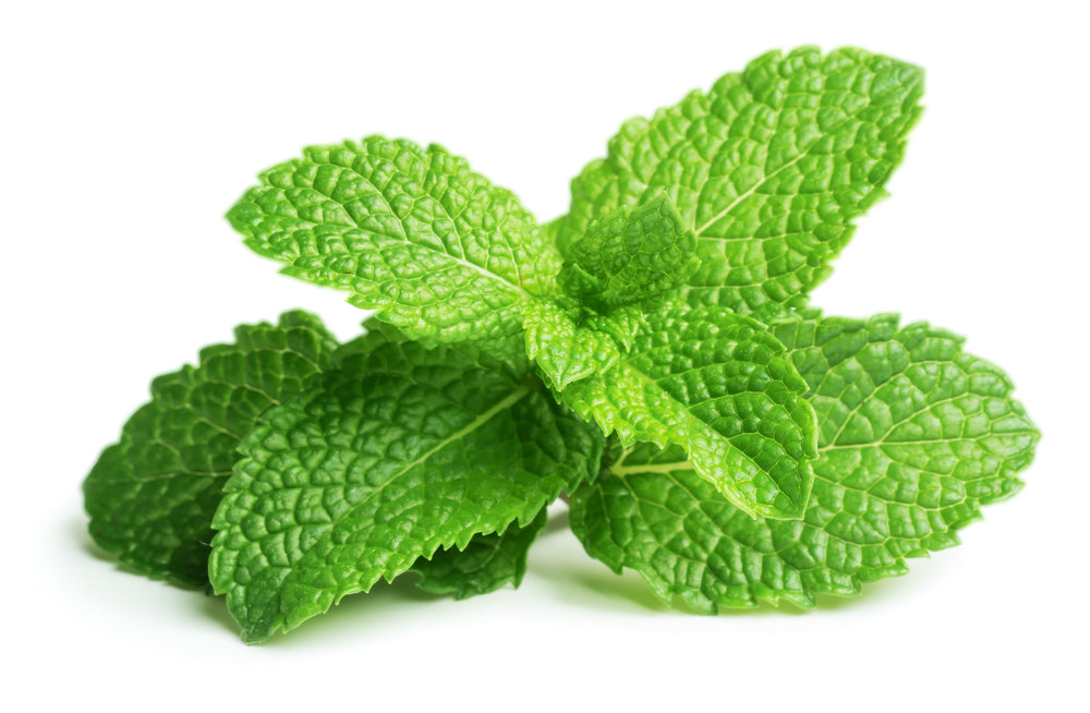 Is Dried Mint as Good as Fresh?