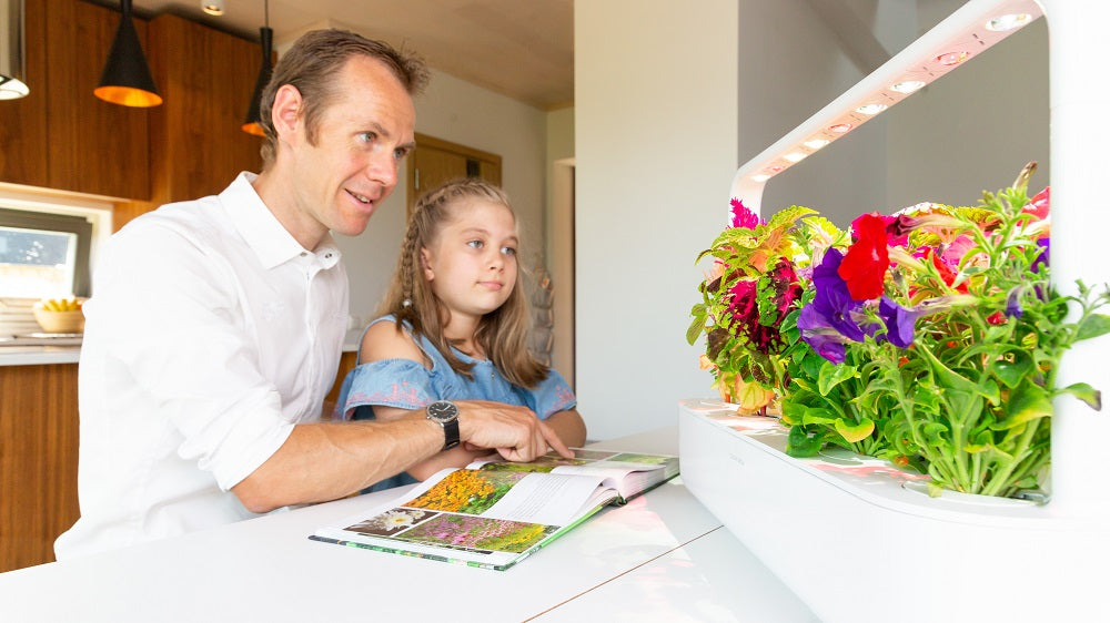 5 Reasons Indoor Gardening is an Awesome Hobby for Dads
