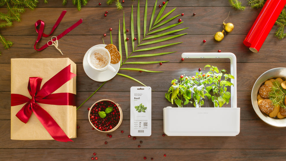 Gift Ideas - Indoor Spice Garden for Spicy Food Lovers