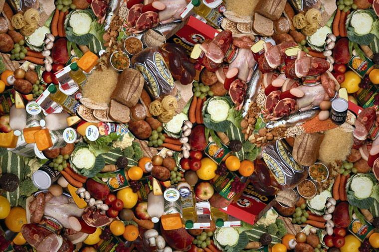 Why Is Food Waste The World's Dumbest Problem?