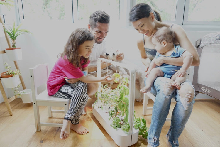 Growing With: @UrbanFarmerly