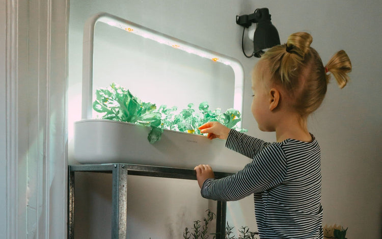indoor garden grow lights