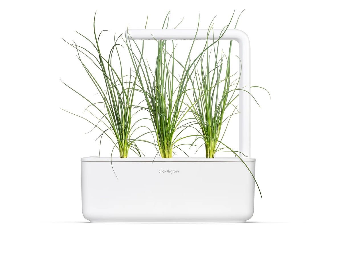 Green Onion Plant Pods 3-pack