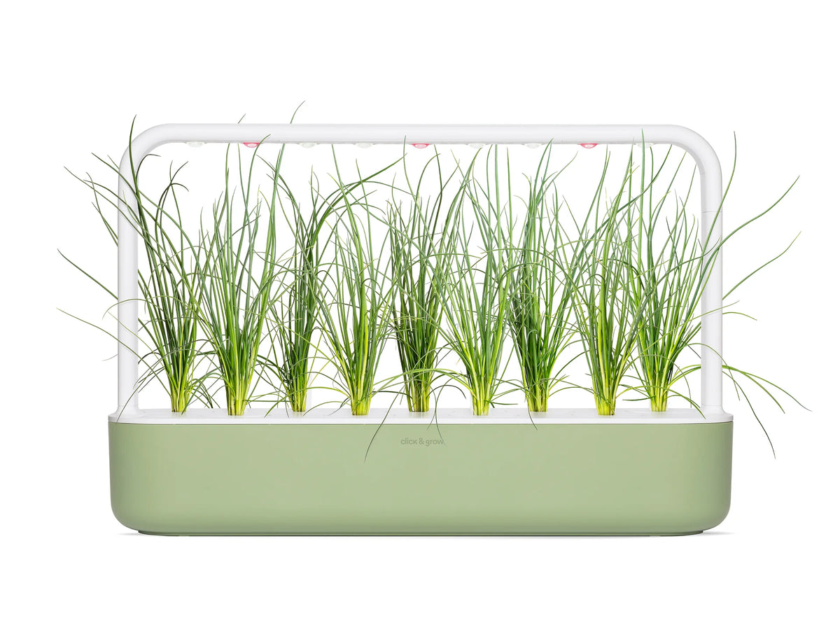 Green Onion Plant Pods 3-pack