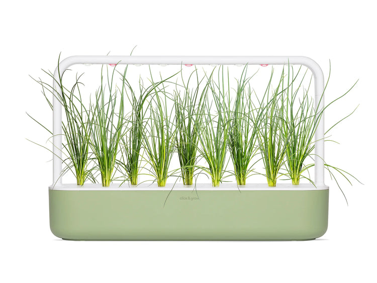 Green Onion Plant Pods 3-pack
