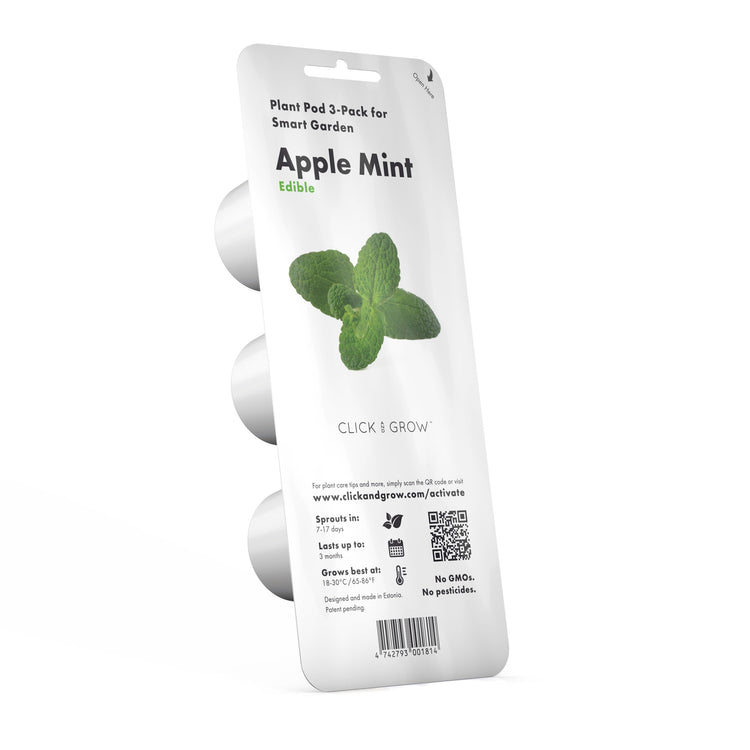 Apple Mint Plant Pods