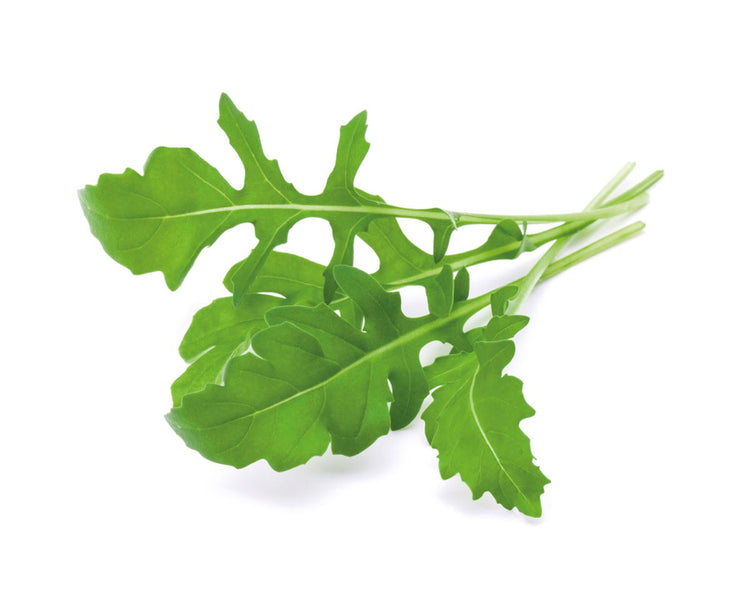 Arugula Plant Pods