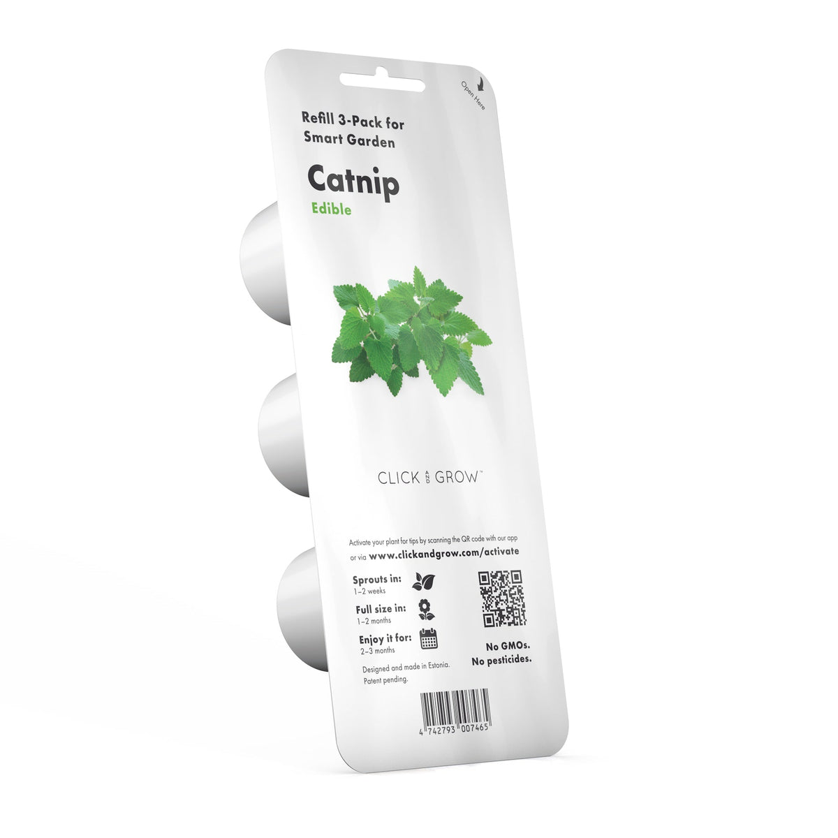 Catnip Plant Pods