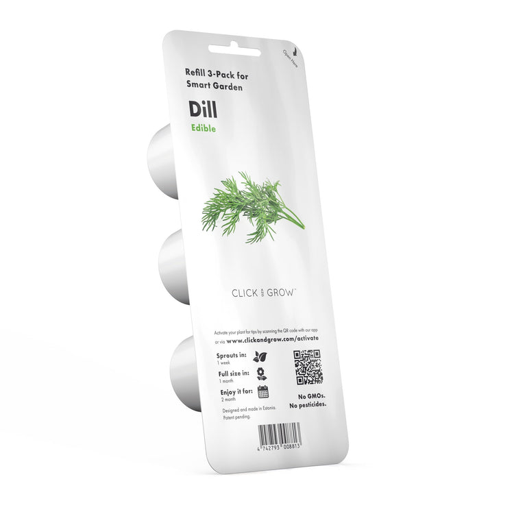 Dill Plant Pods
