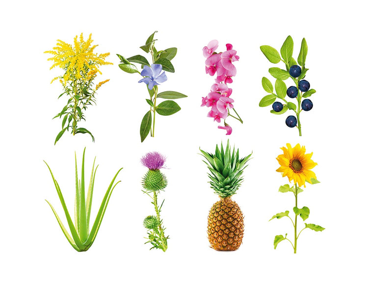 Grow Anything Plant Pods 9-pack