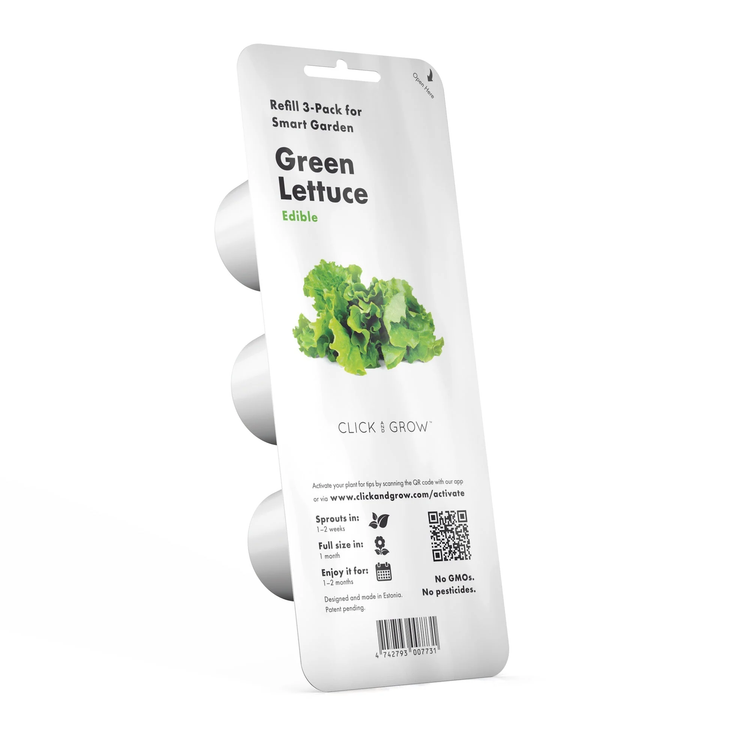 Green Lettuce Plant Pods