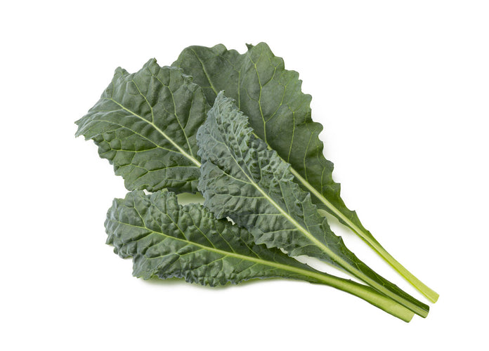 Italian Kale Plant Pods 9-pack