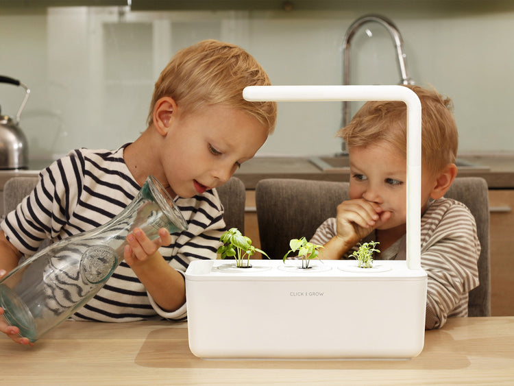 Grow herbs all year round with a smart indoor garden. Grow fresh basil, fresh cilantro and many more with the Click & Grow plant growing kit called the smart indoor garden. The best gift for plant lover!
