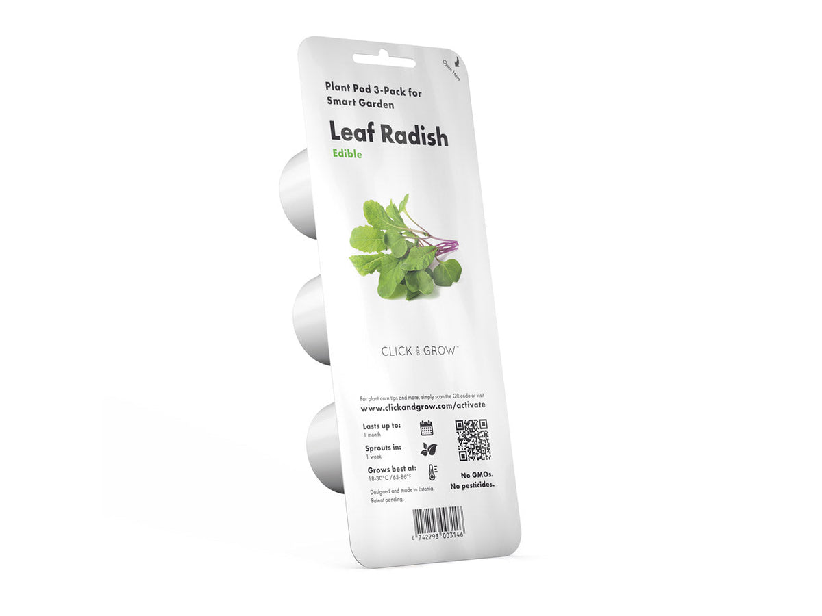 Leaf Radish Plant Pods 3-pack