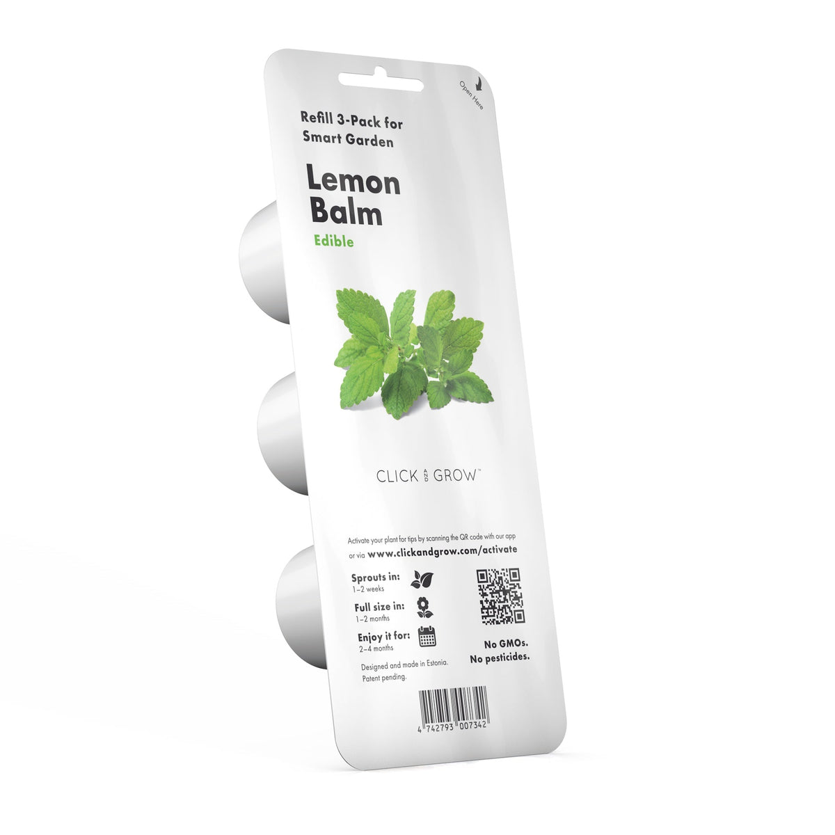 Lemon Balm Plant Pods