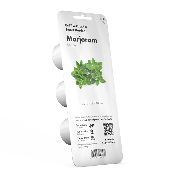 Marjoram Plant Pods