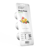 Moss Rose Plant Pods 9-pack / Moss Rose Plant Pods 9-pack