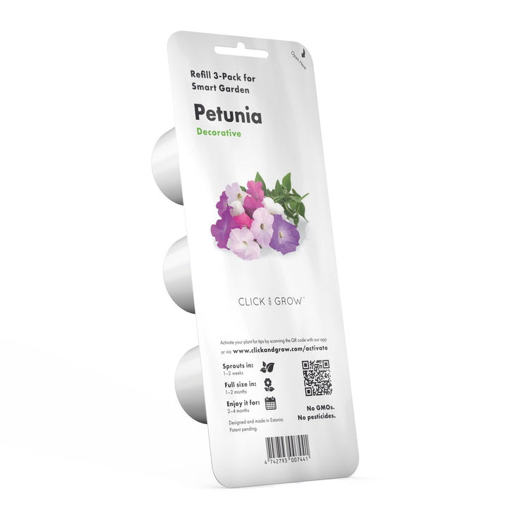 Petunia Plant Pods