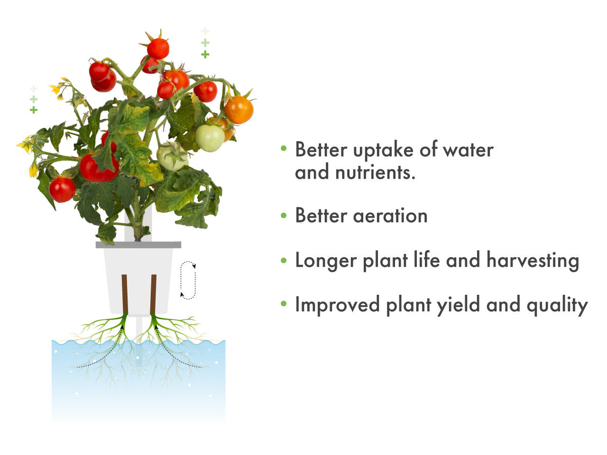 Pro Plant Cups - perforated cups for increased yield (9 pcs)