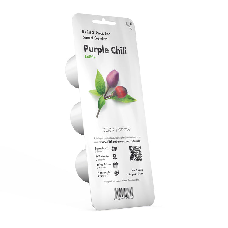 Purple Chili Pepper Plant Pods
