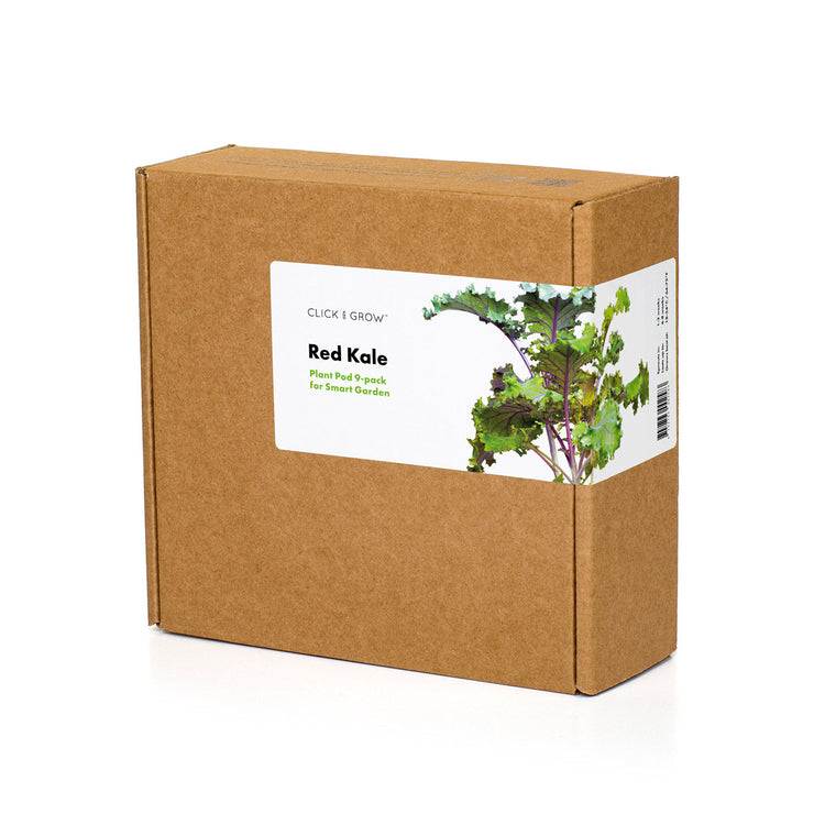 Red Kale Plant Pods 3-pack