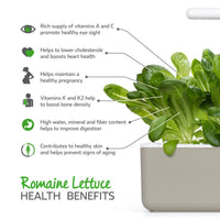Romaine Lettuce Plant Pods 9-pack / Romaine Lettuce Plant Pods 9-pack