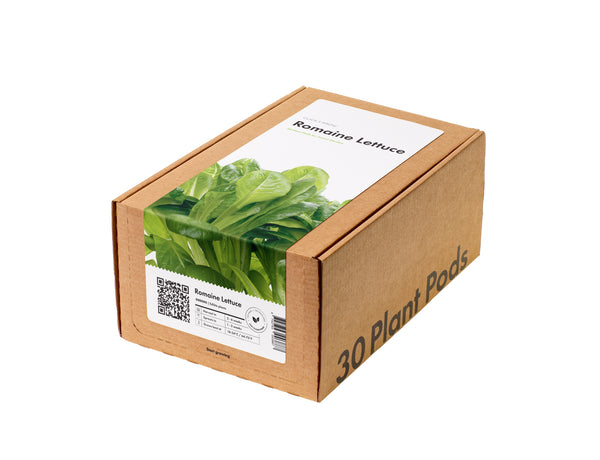 Romaine Lettuce 30-pack