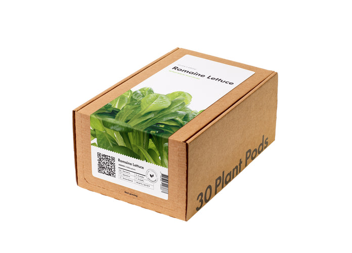 Romaine Lettuce 30-pack