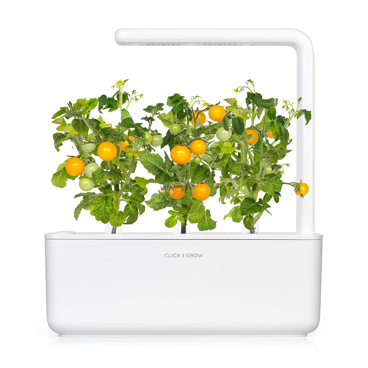 mini indoor tomato plant Yellow Mini Tomato Plant Pods 9-pack – Click & Grow Singapore