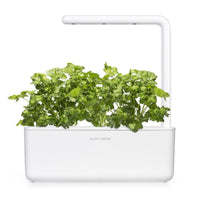 Cilantro (Coriander) Plant Pods 9-pack / Cilantro (Coriander) Plant Pods 9-pack