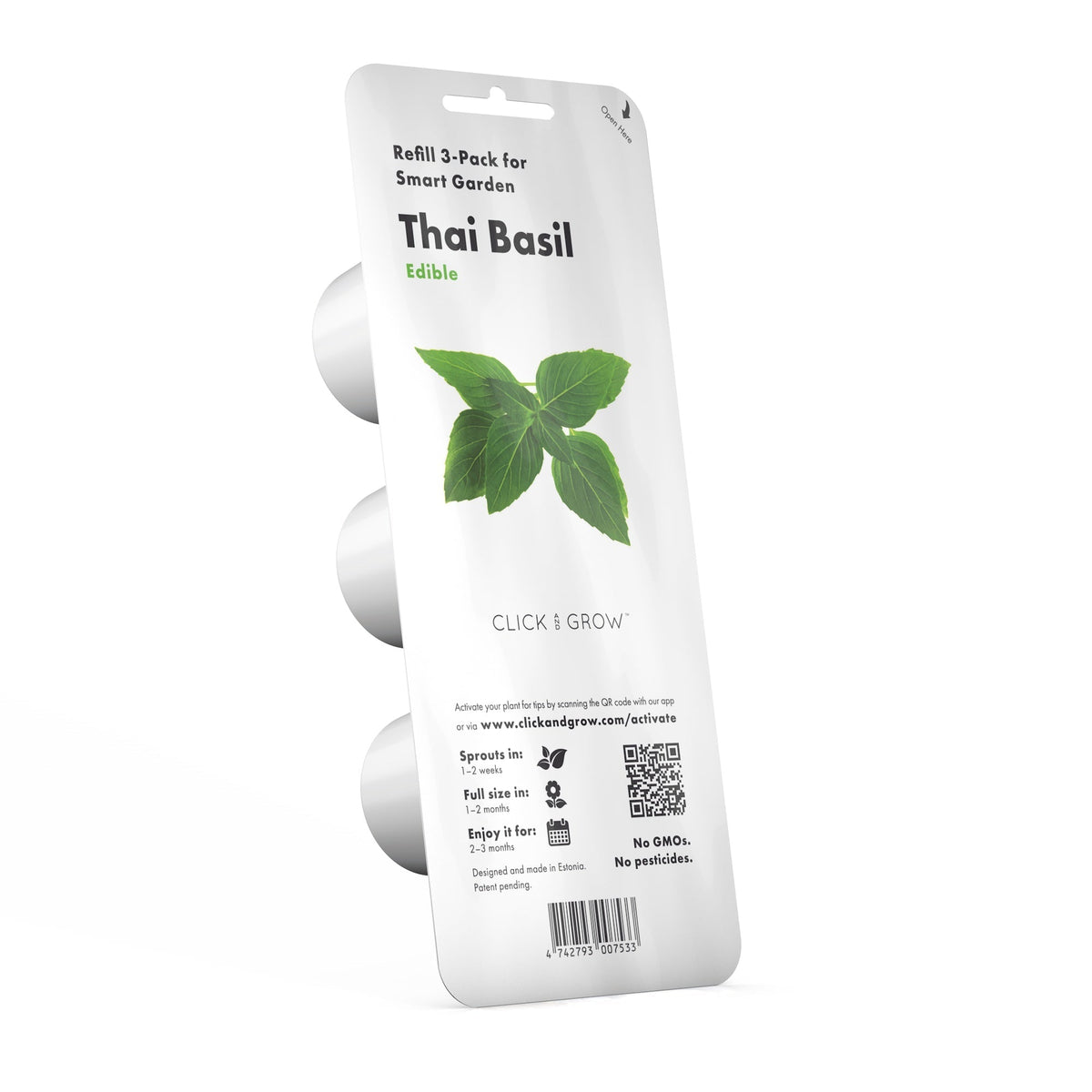 Thai Basil Plant Pods