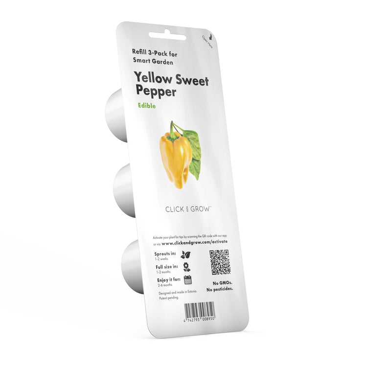 Yellow Sweet Pepper Plant Pods