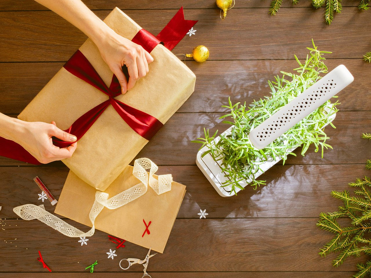 Grow herbs all year round with a smart indoor garden. Grow fresh basil, fresh cilantro and many more with the Click & Grow plant growing kit called the smart indoor garden. The best gift for plant lover!