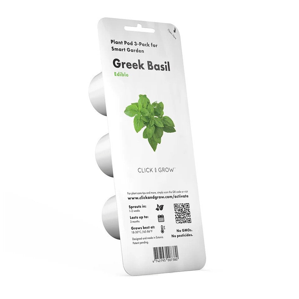 Greek Basil Plant Pods