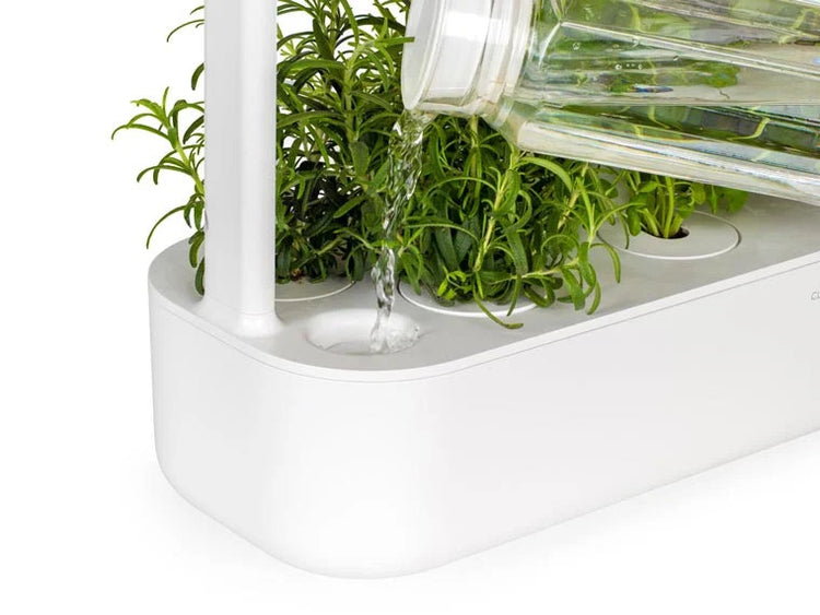 Smart Garden grow lights shining over fresh herbs