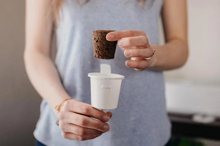 A plant pod being placed into its cup