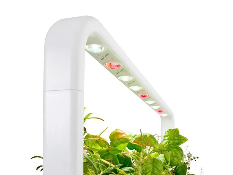 Water being poured into a Smart Garden tank