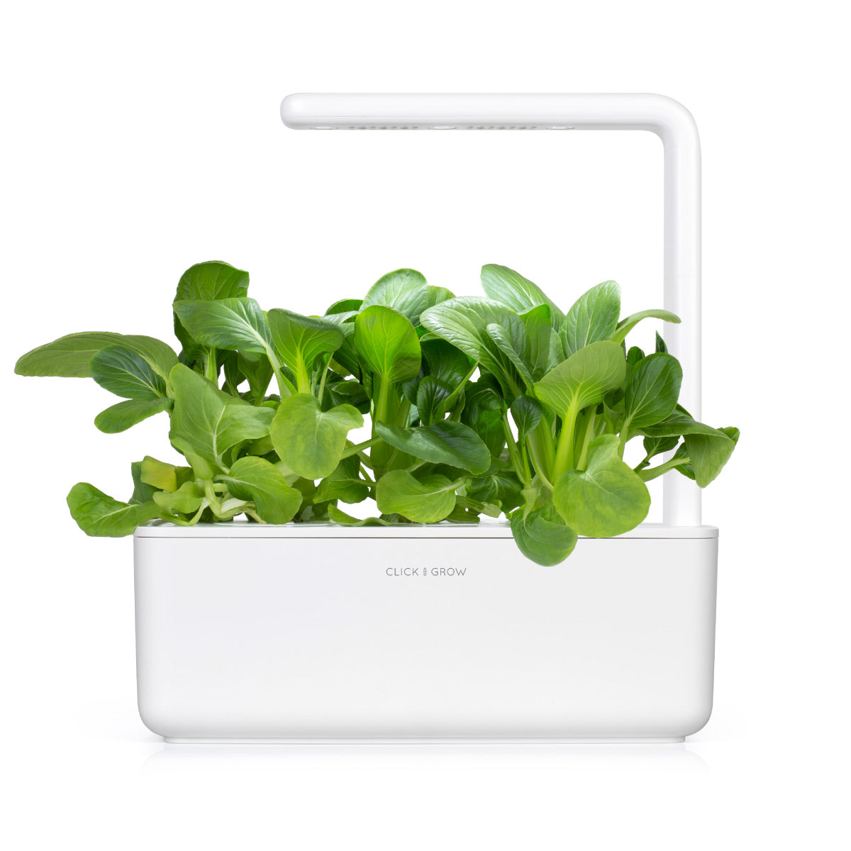 Pak Choi Plant Pods 9-pack