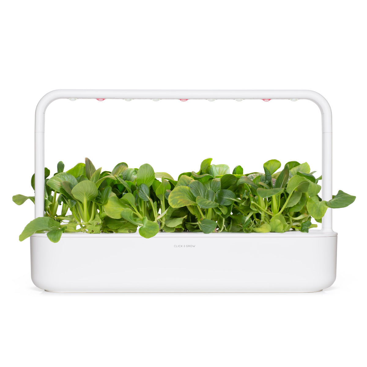 Pak Choi Plant Pods 9-pack