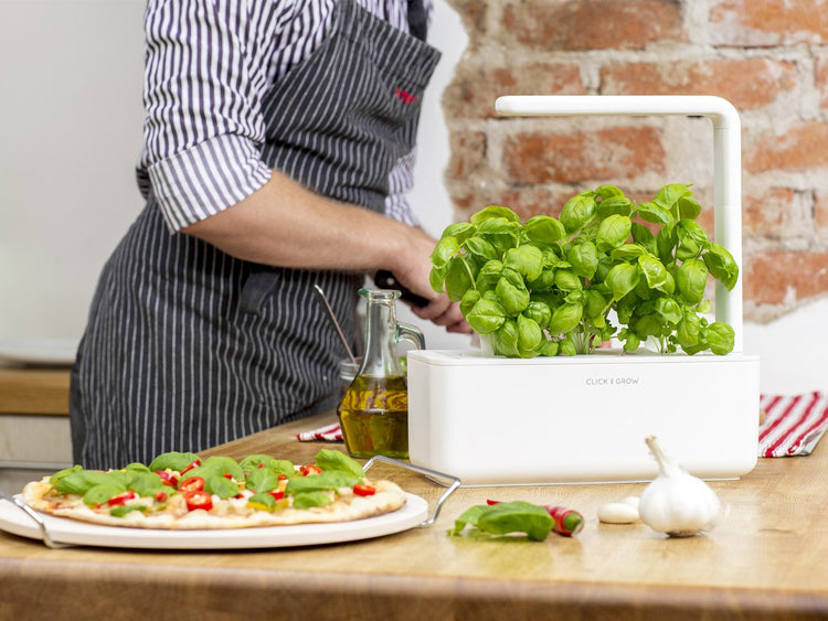 Grow herbs all year round with a smart indoor garden. Grow fresh basil, fresh cilantro and many more with the Click & Grow plant growing kit called the smart indoor garden. The best gift for plant lover!