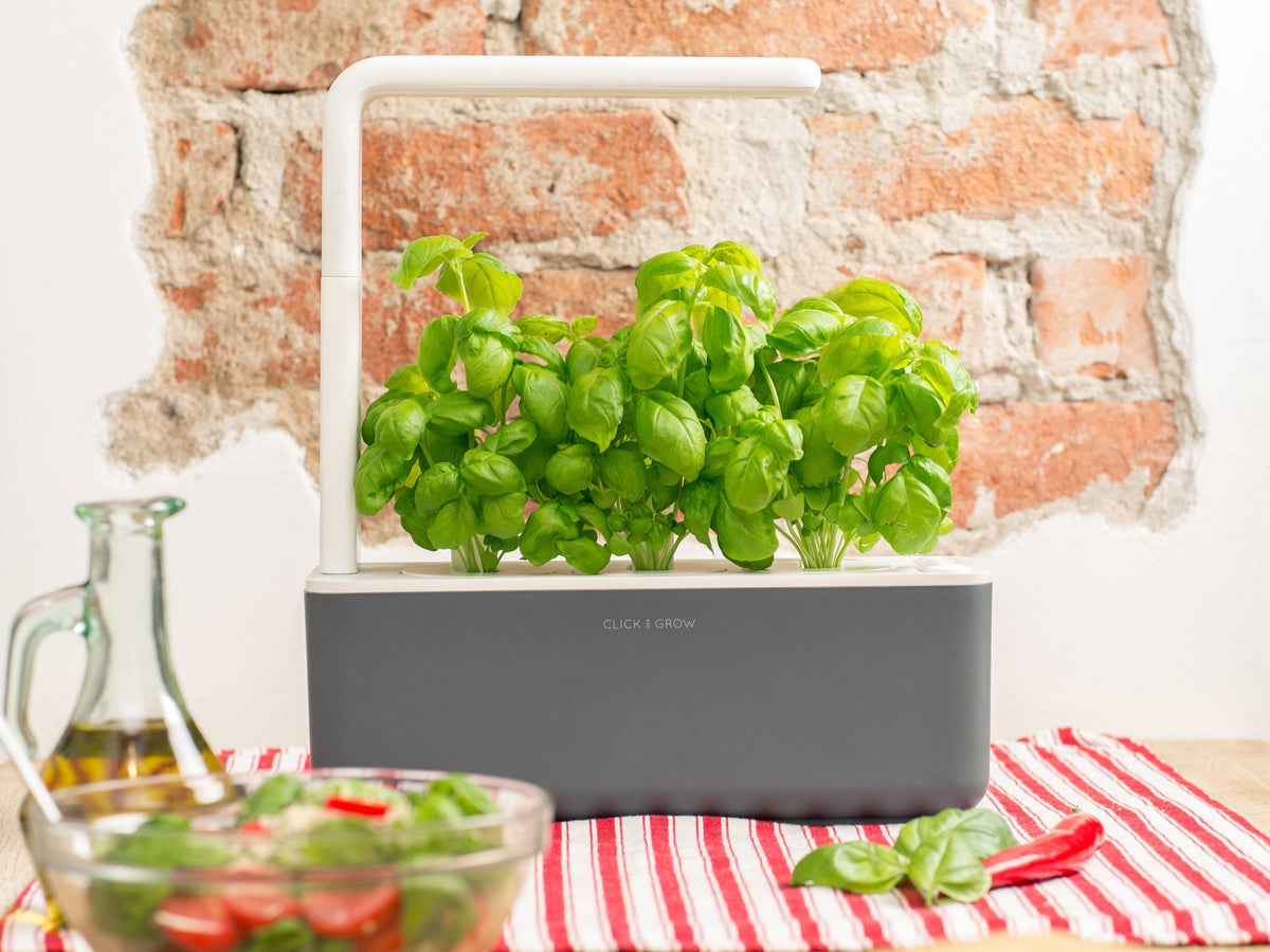 Grow herbs all year round with a smart indoor garden. Grow fresh basil, fresh cilantro and many more with the Click & Grow plant growing kit called the smart indoor garden. The best gift for plant lover!
