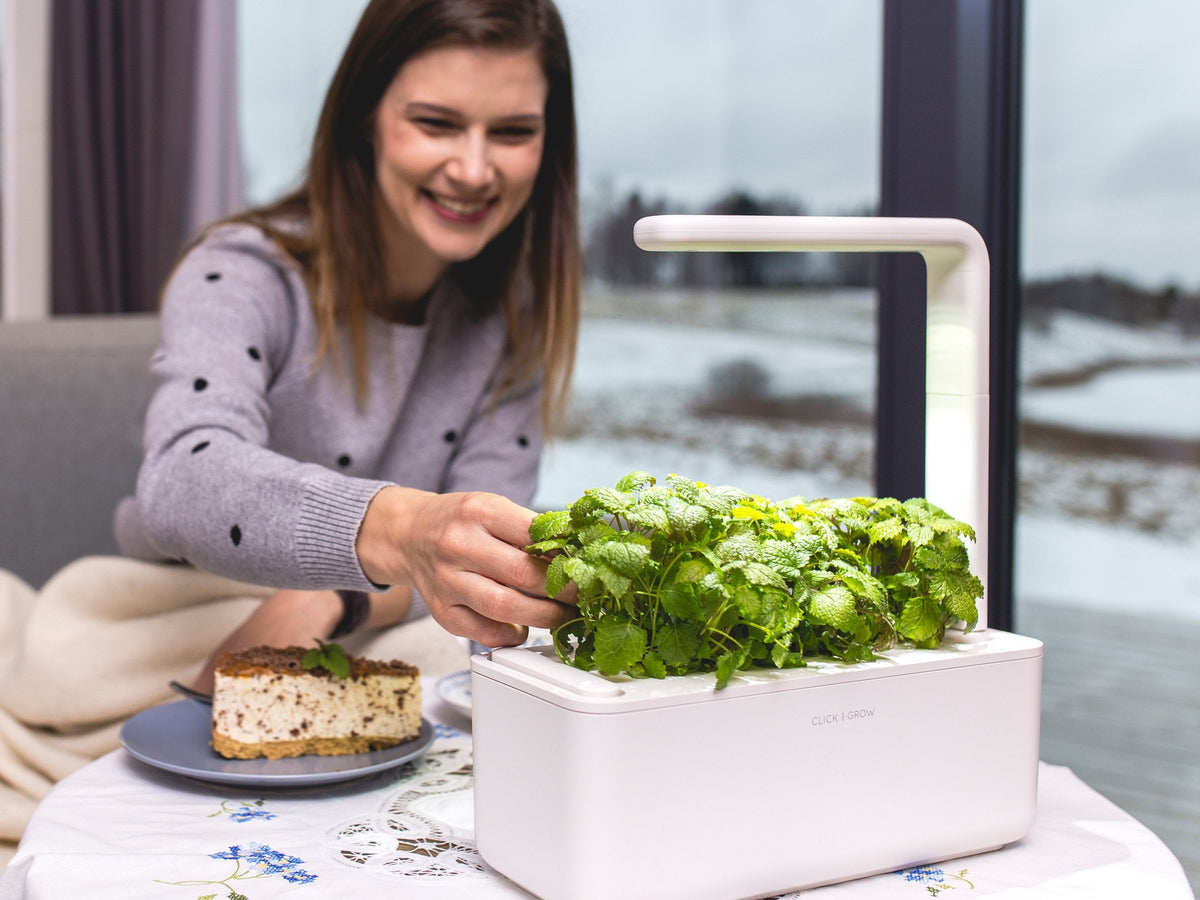 Grow herbs all year round with a smart indoor garden. Grow fresh basil, fresh cilantro and many more with the Click & Grow plant growing kit called the smart indoor garden. The best gift for plant lover!