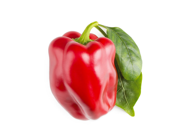 Red Sweet Pepper Plant Pods