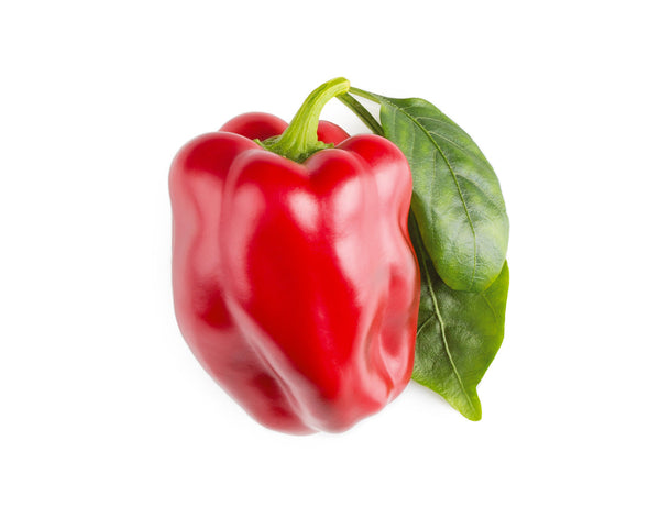 Red Sweet Pepper Plant Pods 9-pack