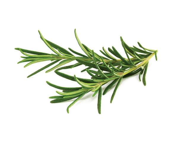 rosemary-1200x960_3ba46413-